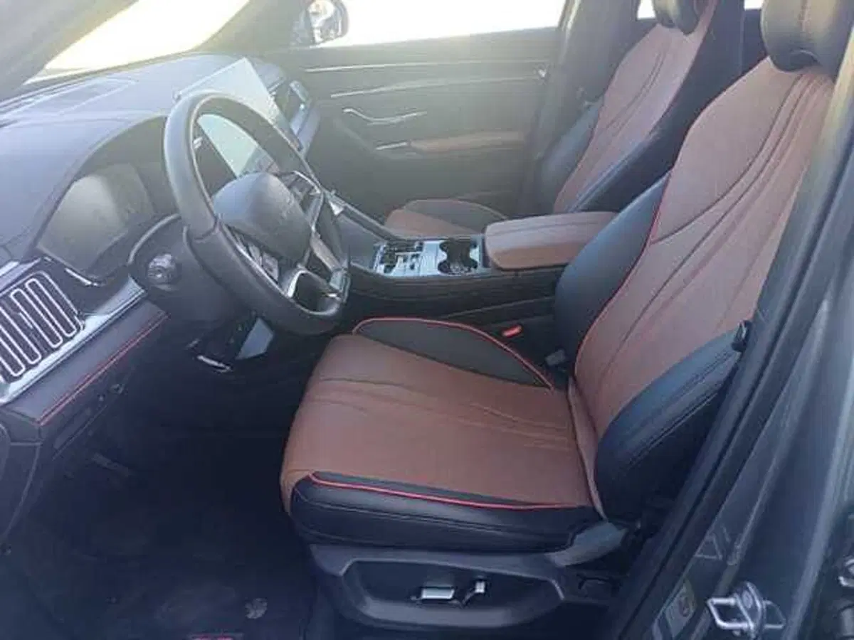 Byd Seal U DM-i  usata a Potenza (11)