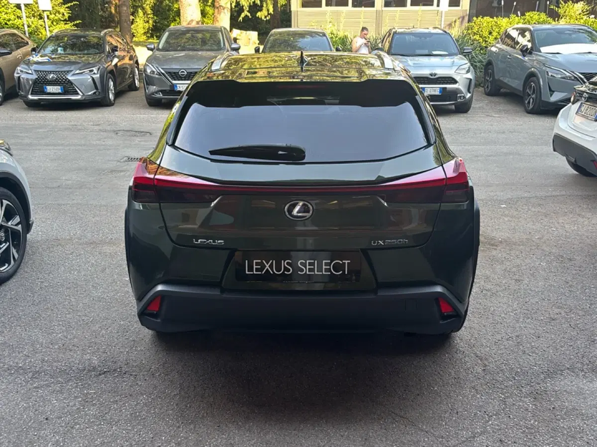 Lexus UX usata a Bologna (4)