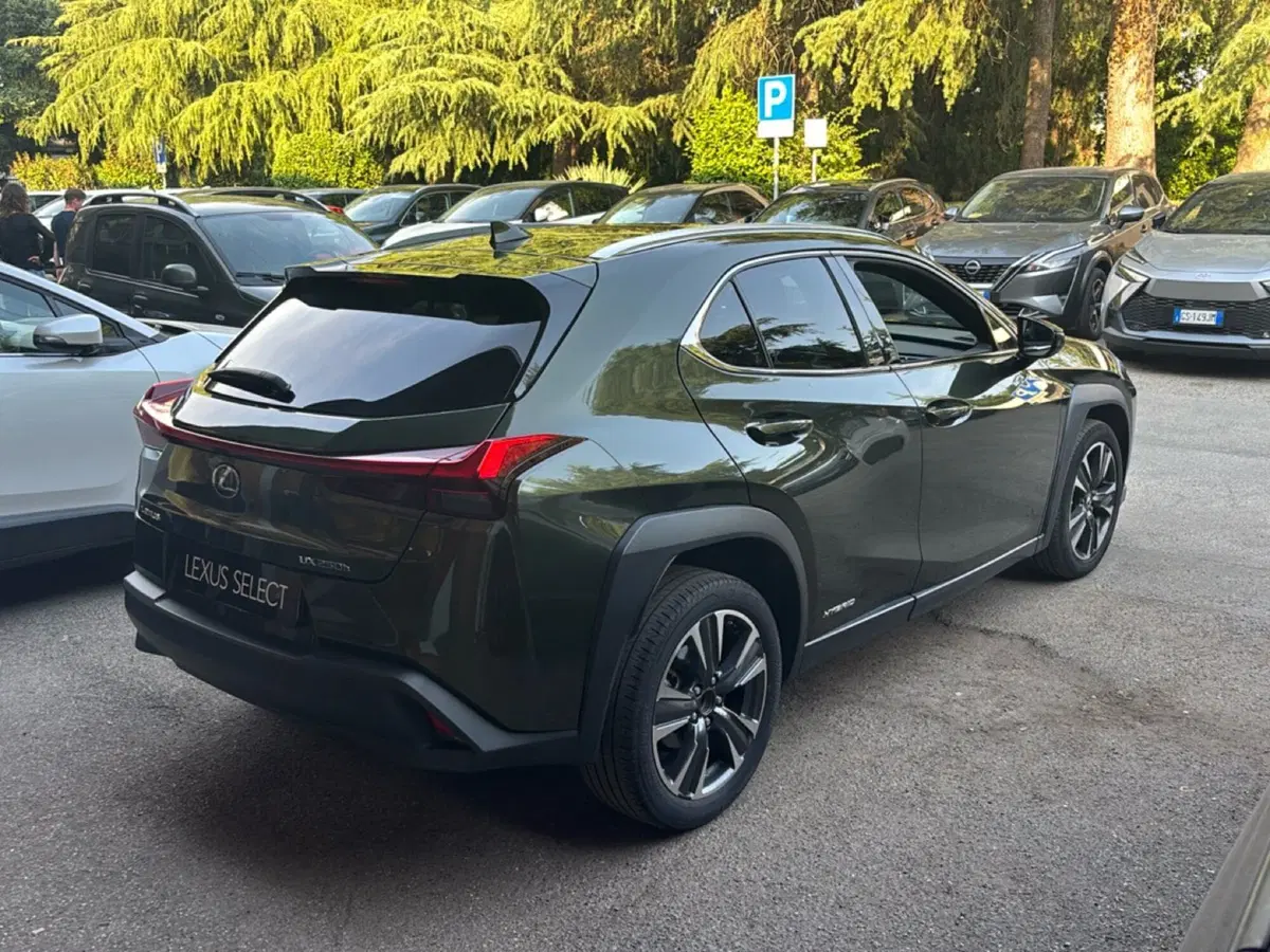 Lexus UX usata a Bologna (6)