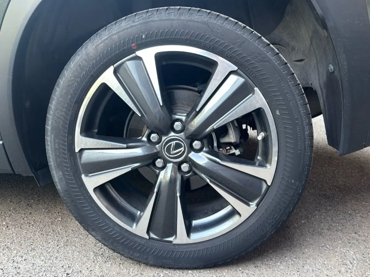 Lexus UX usata a Bologna (7)