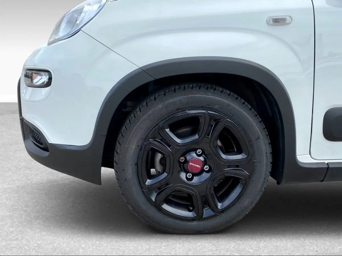 Fiat Panda usata a Livorno (15)