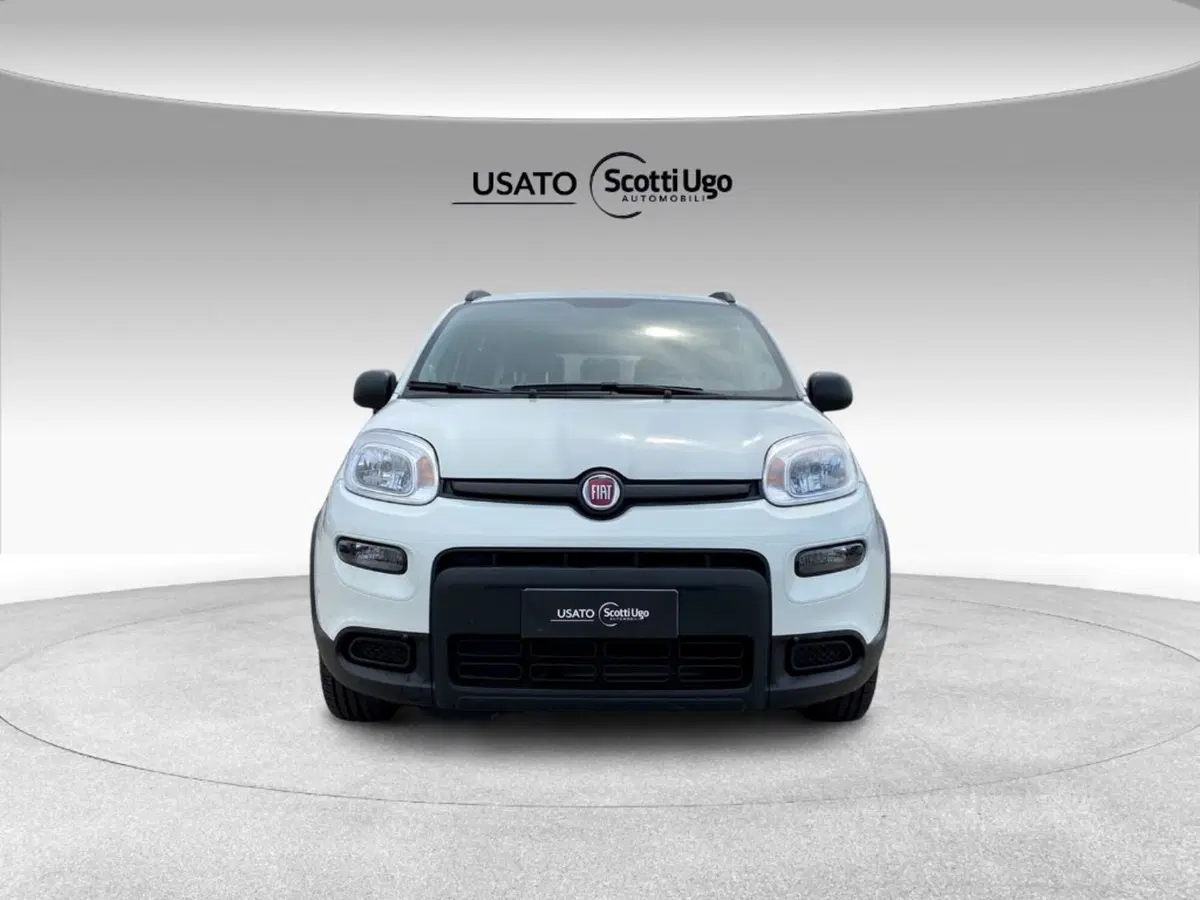 Fiat Panda usata a Livorno (2)