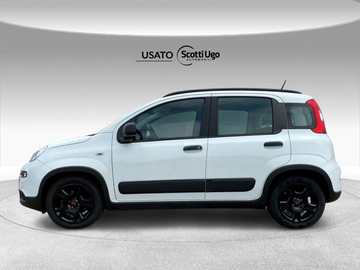 Fiat Panda usata a Livorno (3)