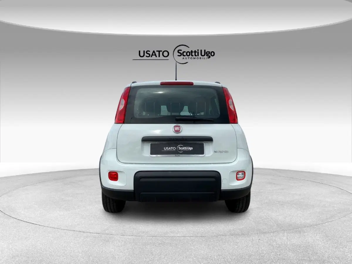 Fiat Panda usata a Livorno (5)