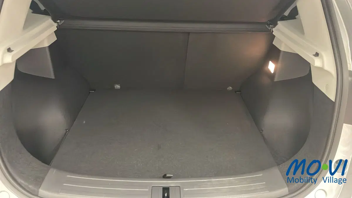 Mg ZS usata a Torino (11)