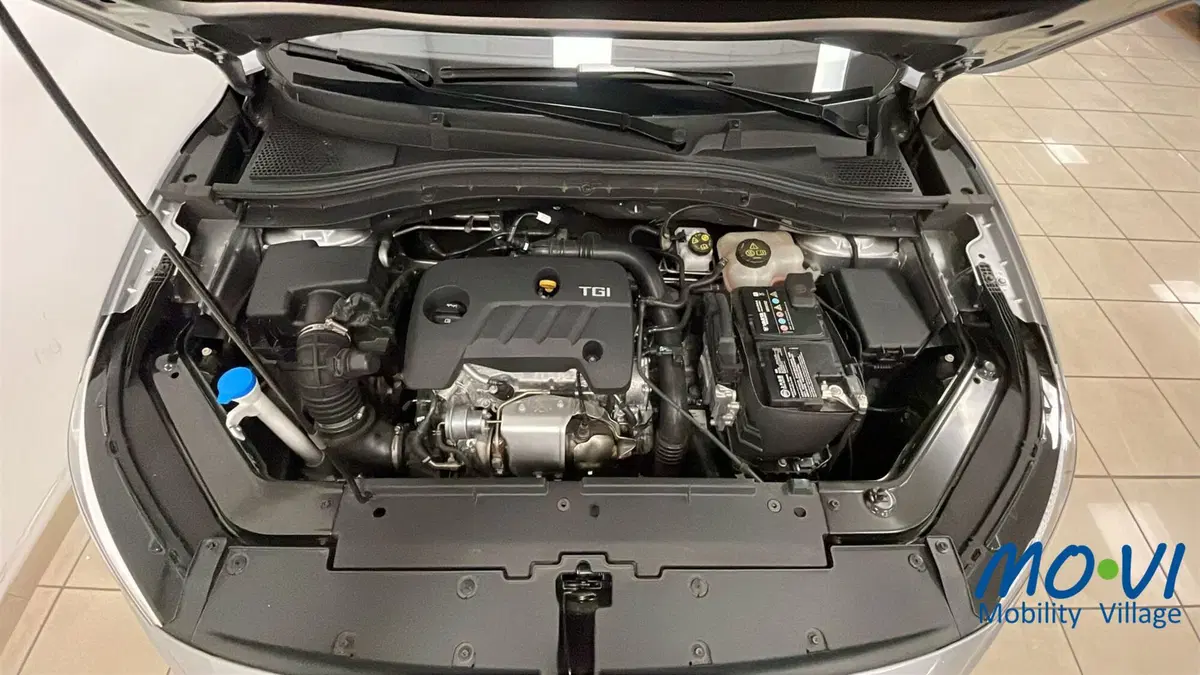 Mg ZS usata a Torino (14)
