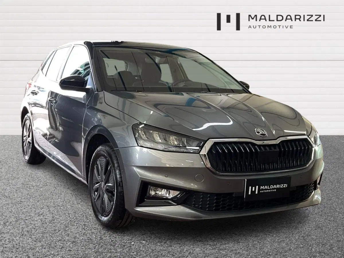 Skoda Fabia usata a Lecce