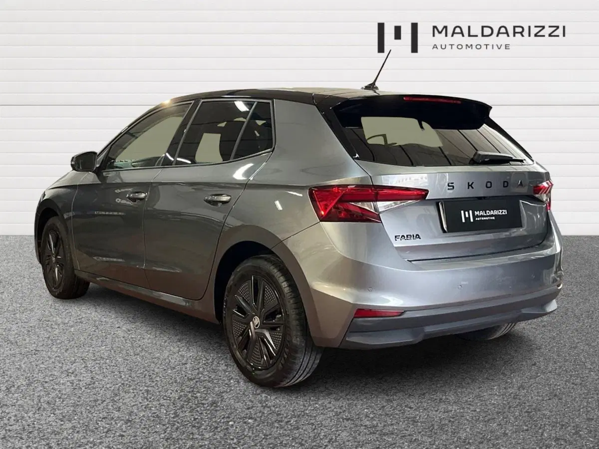 Skoda Fabia usata a Lecce (4)