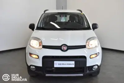 Fiat Panda 0.9 TwinAir Turbo S&amp;S 4x4 Wild del 2021 usata a Foligno