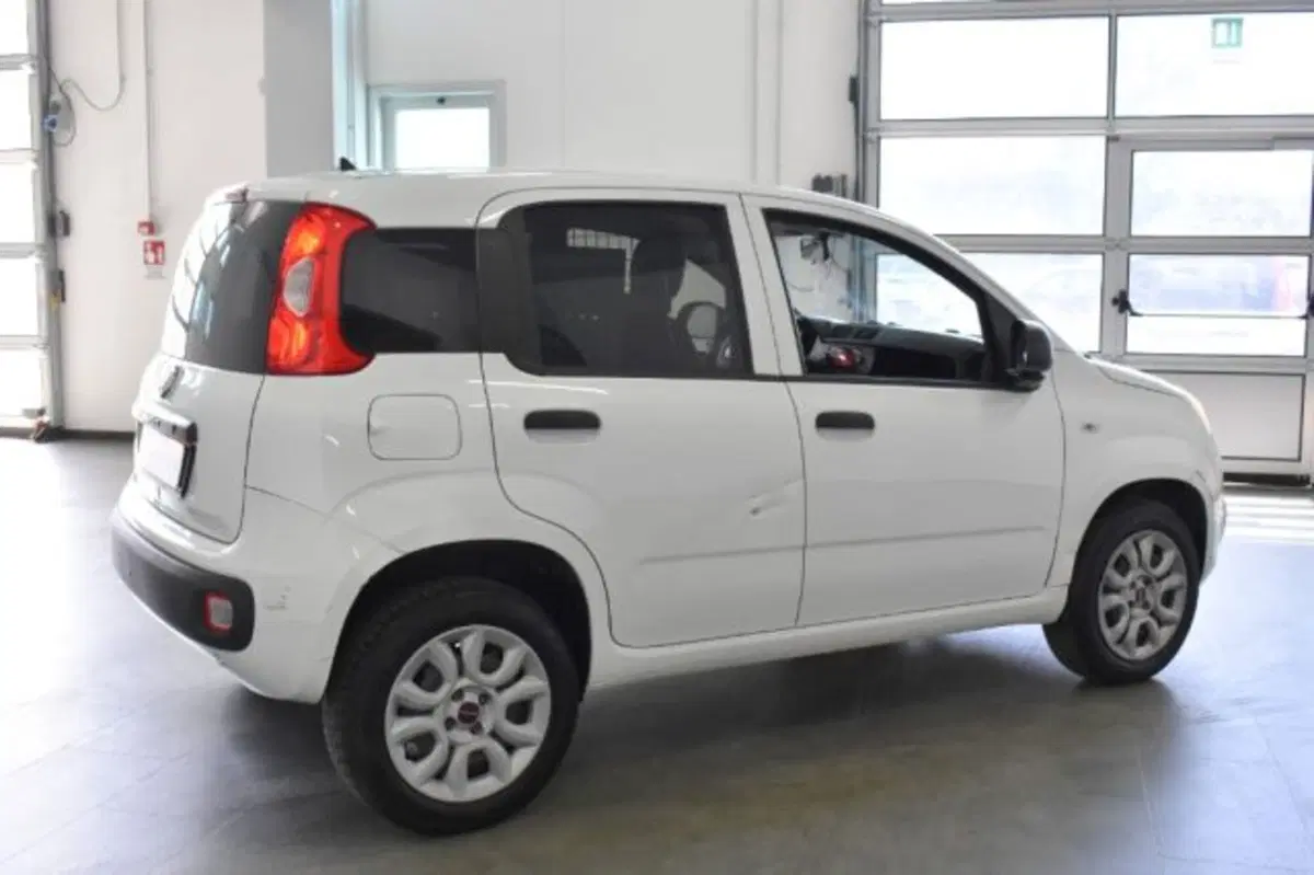 Fiat Panda usata a Perugia (7)