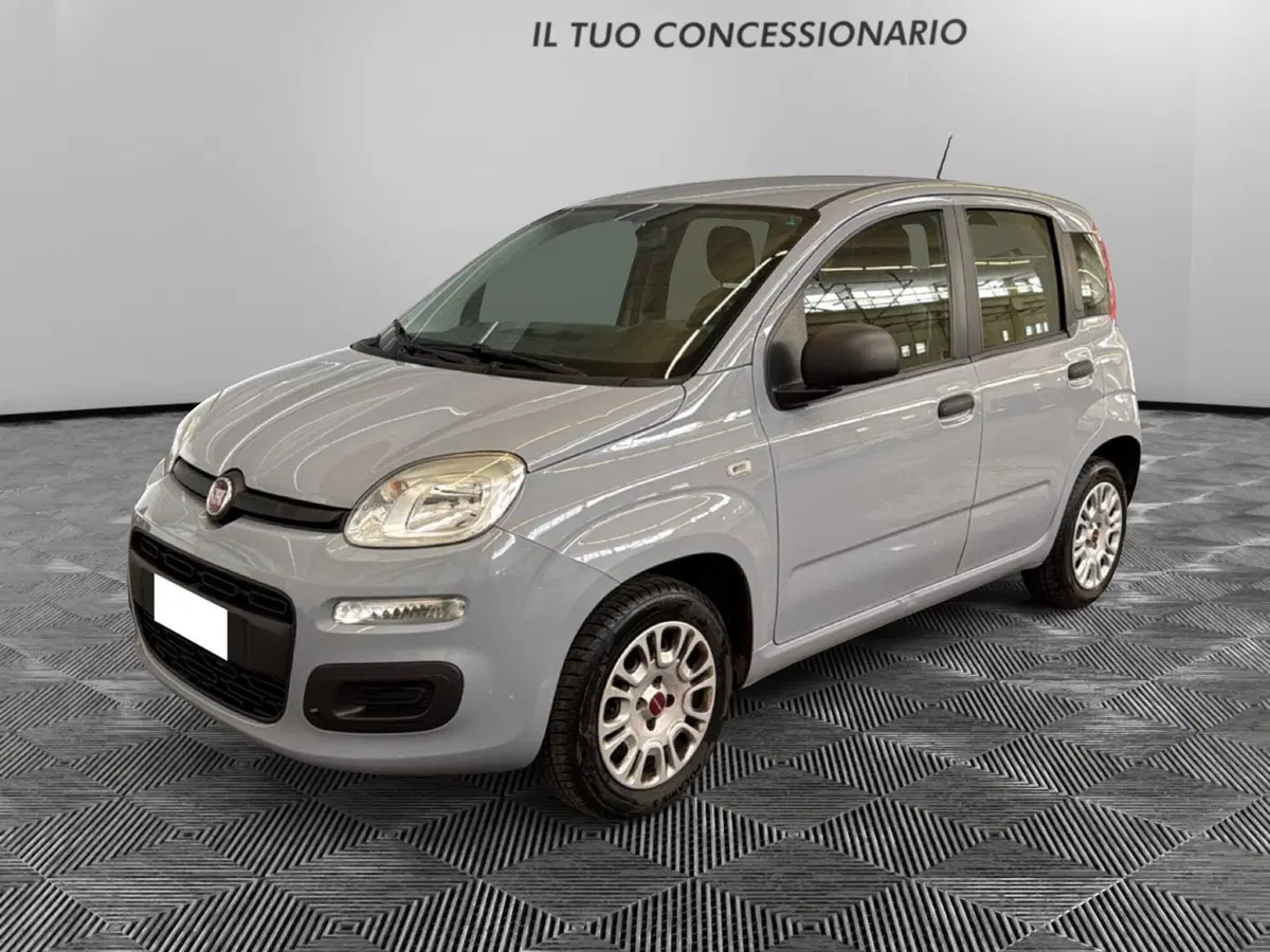 Fiat Panda usata a Pordenone