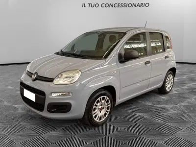 Fiat Panda 1.2 Lounge del 2020 usata a Pordenone