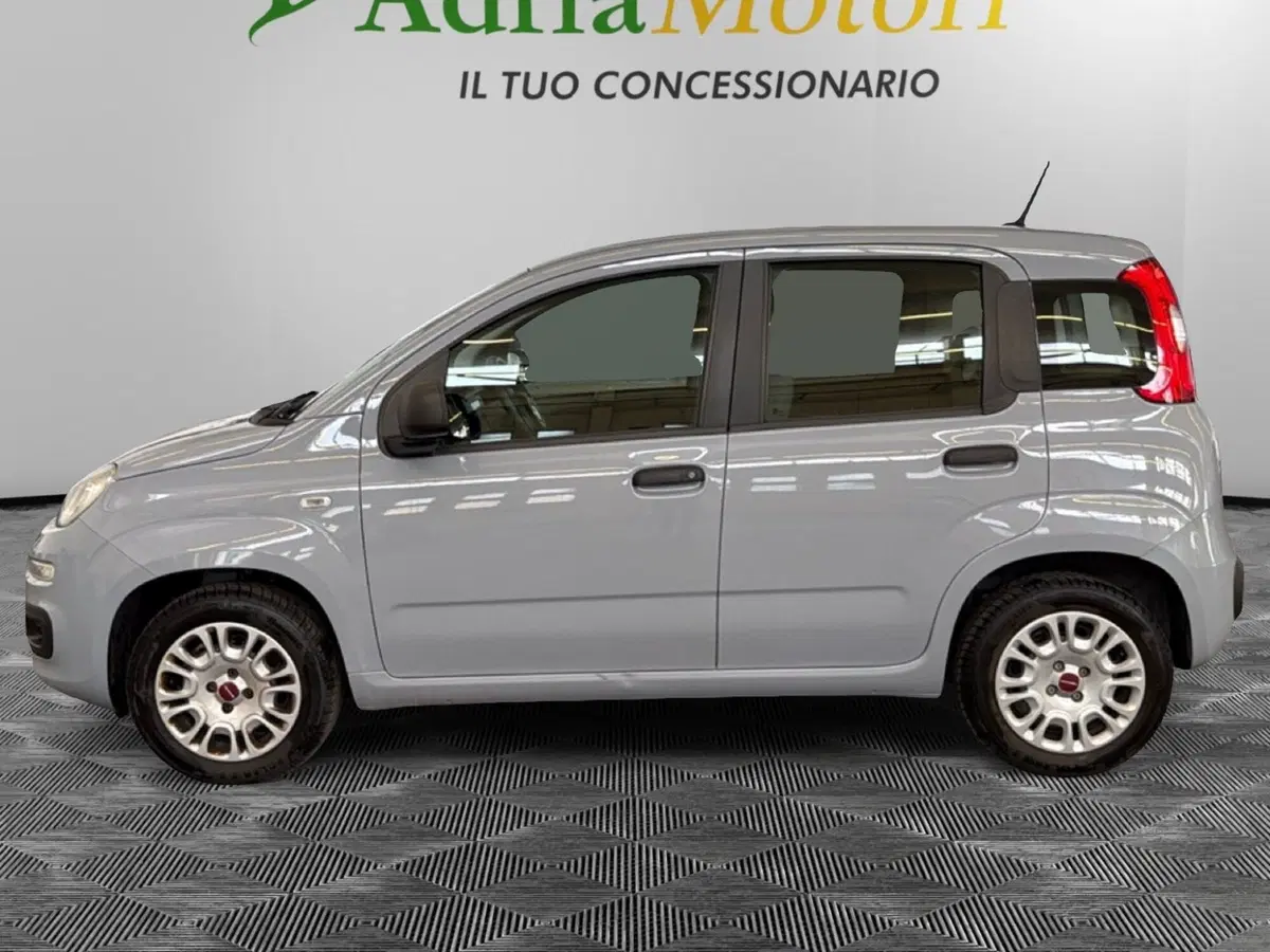 Fiat Panda usata a Pordenone (2)
