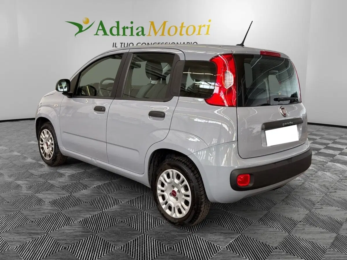 Fiat Panda usata a Pordenone (3)