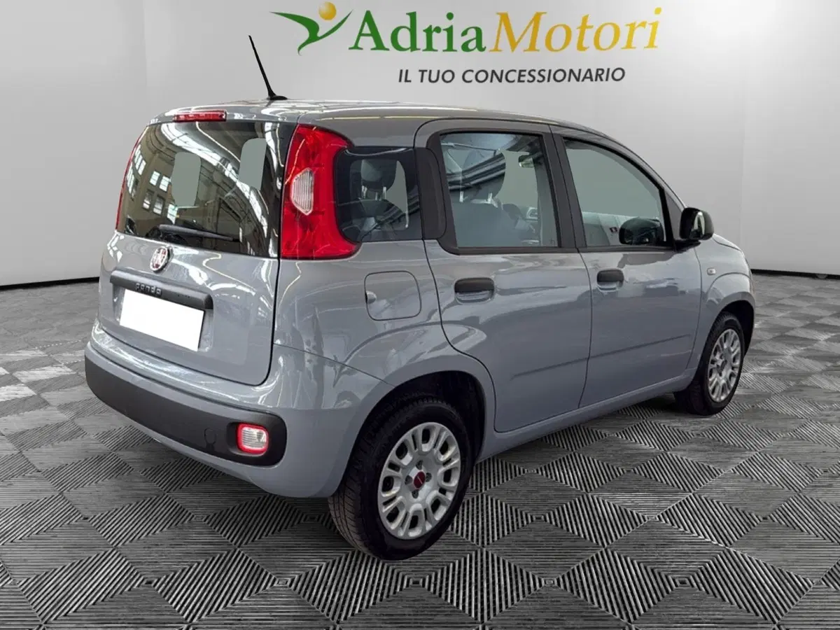 Fiat Panda usata a Pordenone (5)