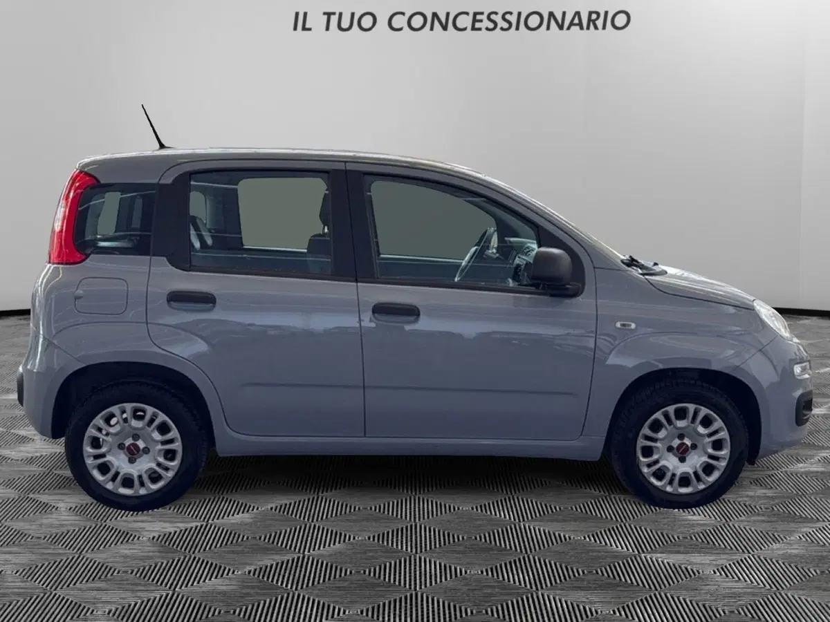Fiat Panda usata a Pordenone (6)