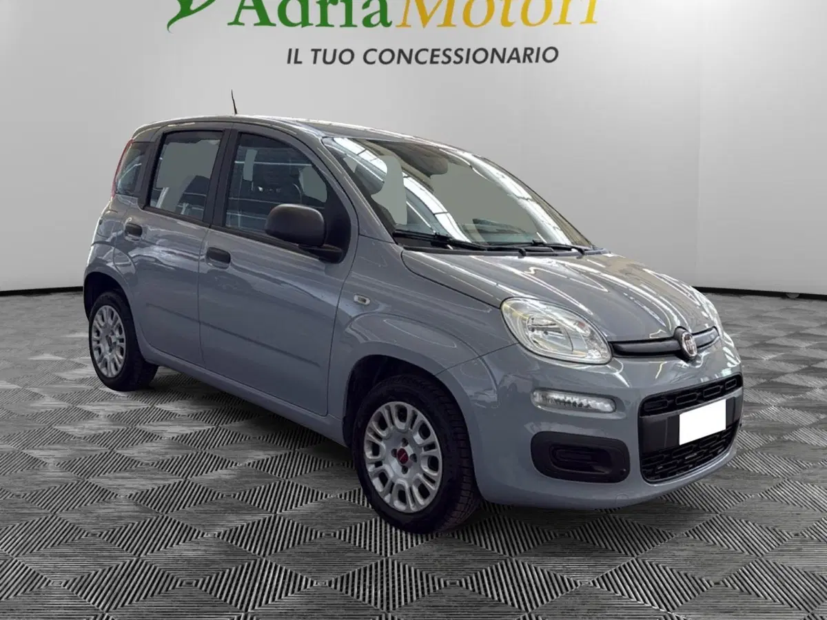 Fiat Panda usata a Pordenone (7)