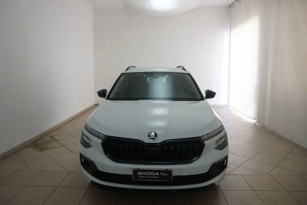 Skoda Kamiq usata a Torino (2)