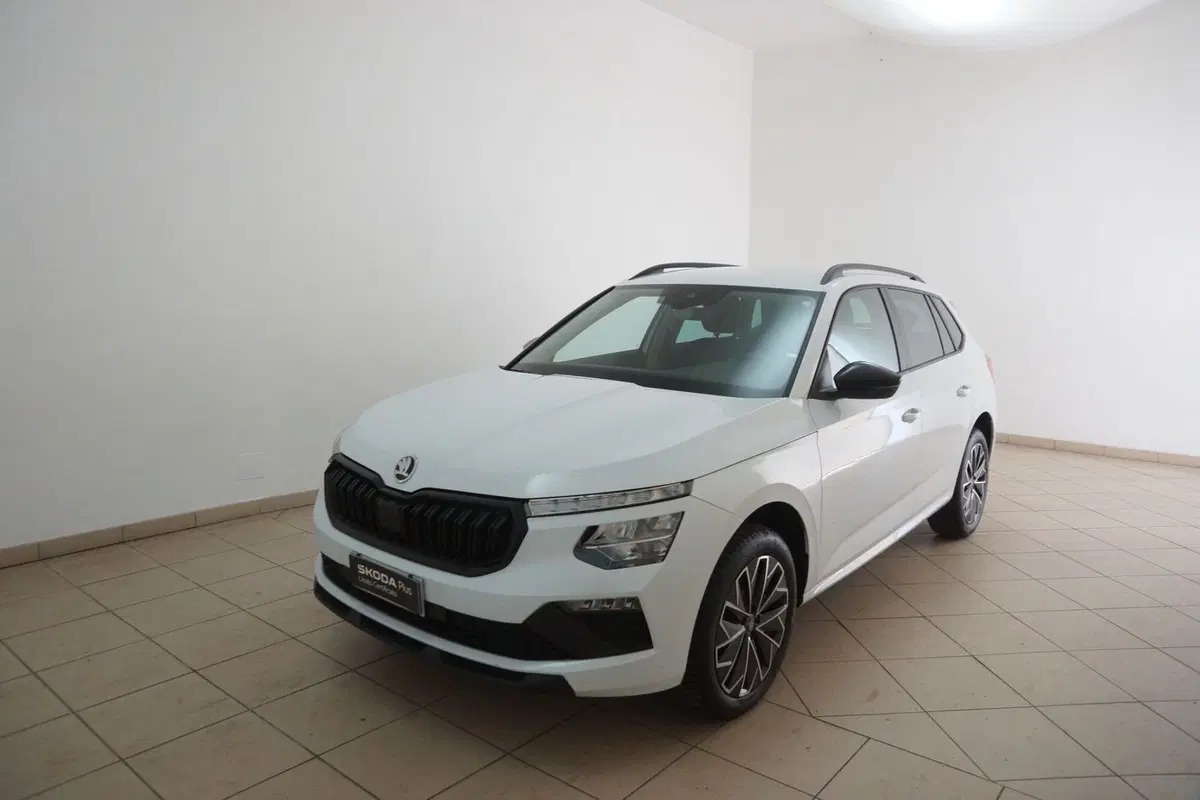 Skoda Kamiq usata a Torino (3)