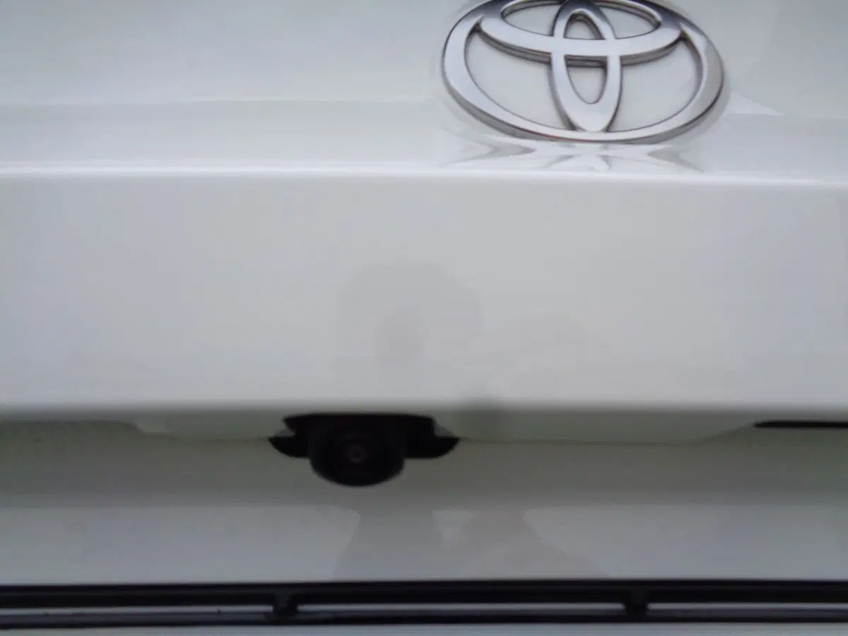 Toyota Toyota C-HR usata a Belluno (20)