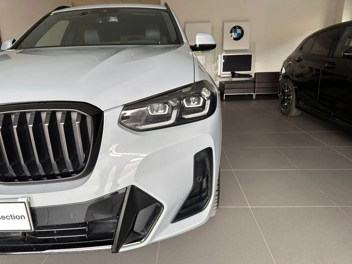 BMW X3 usata a Cuneo (20)