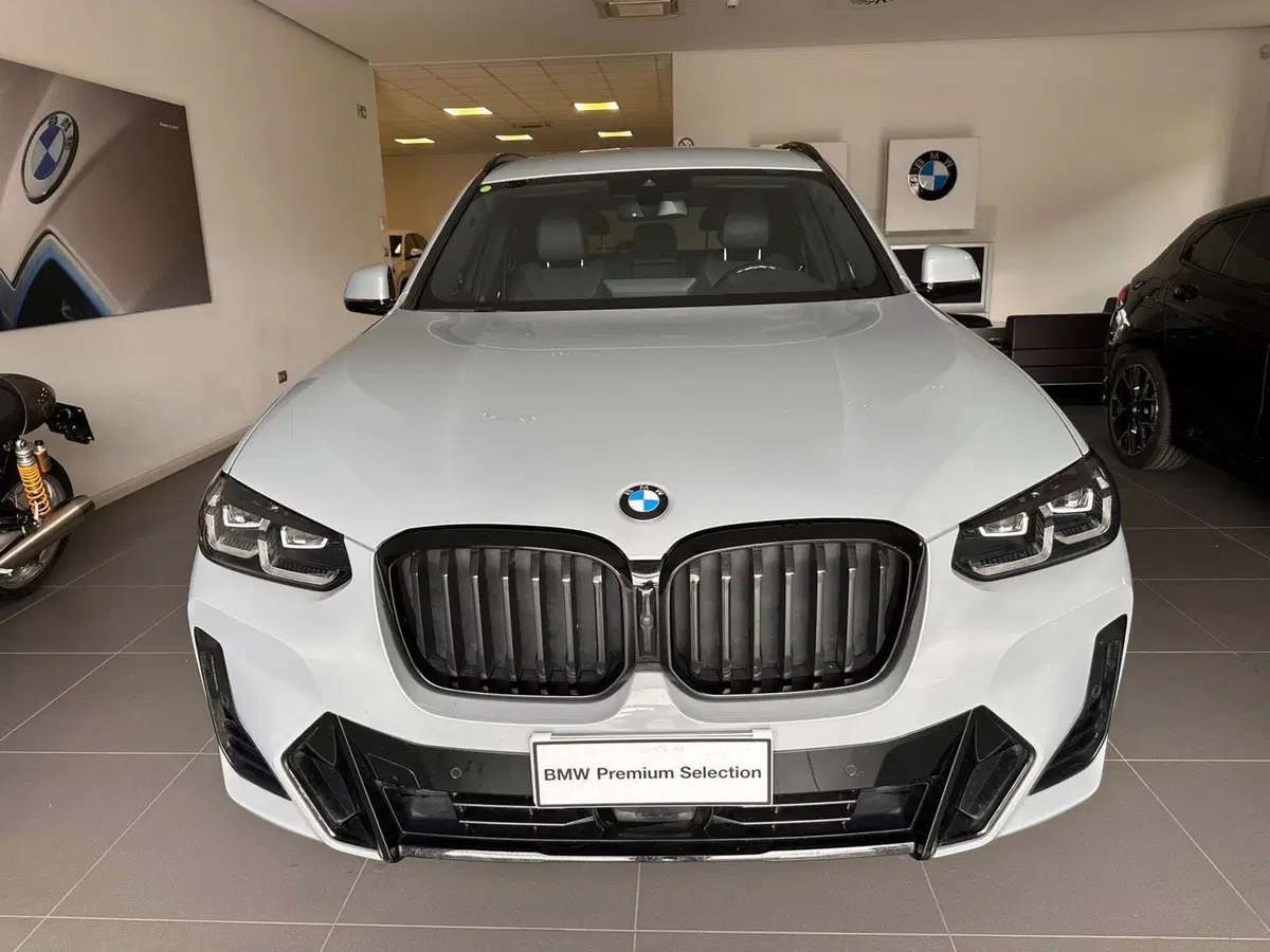 BMW X3 usata a Cuneo (3)