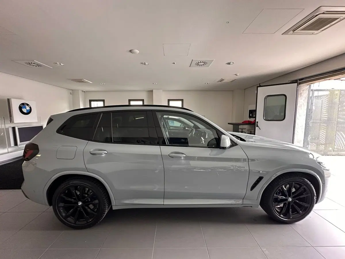 BMW X3 usata a Cuneo (6)