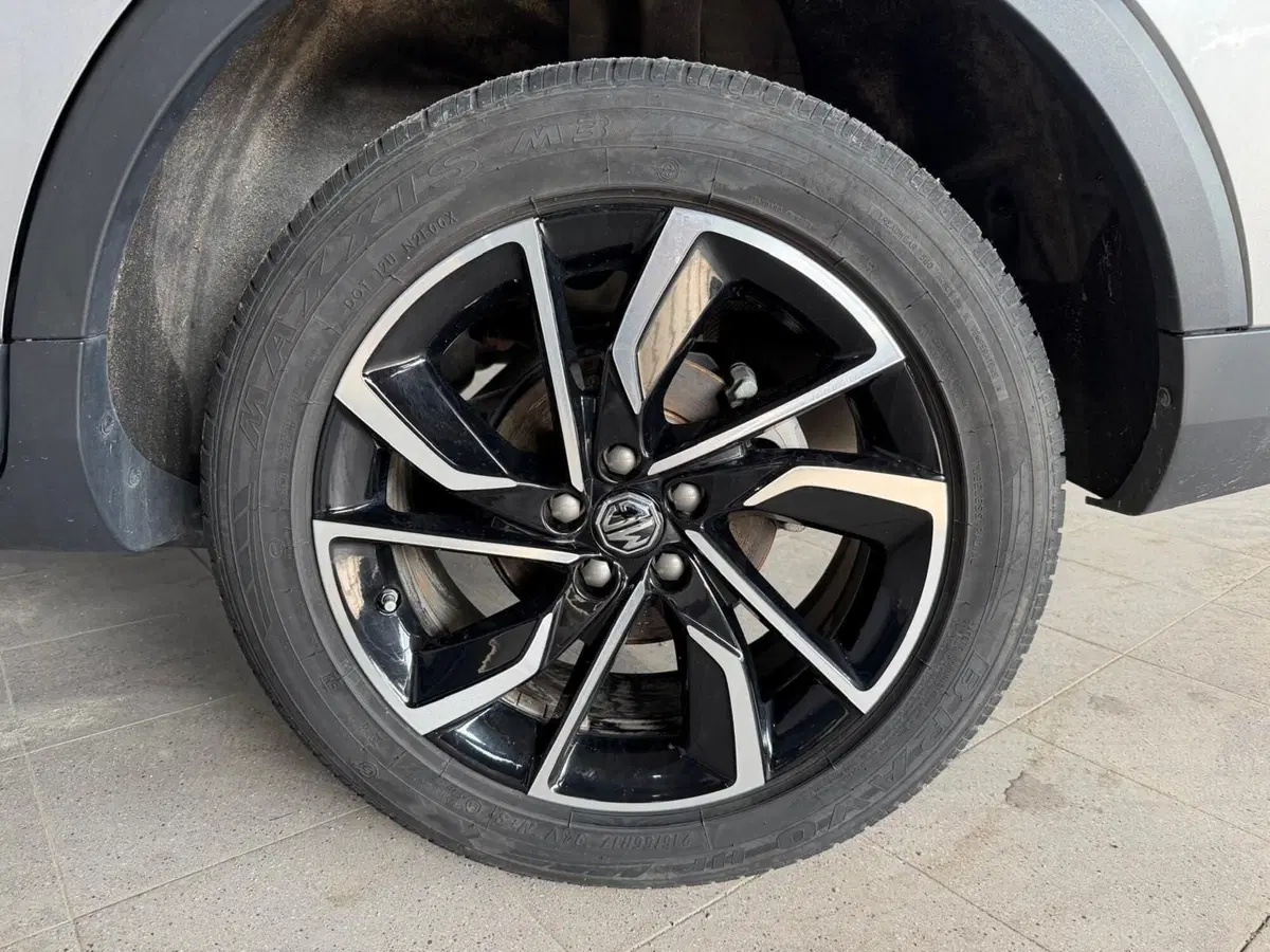Mg ZS usata a Monza e Brianza (19)