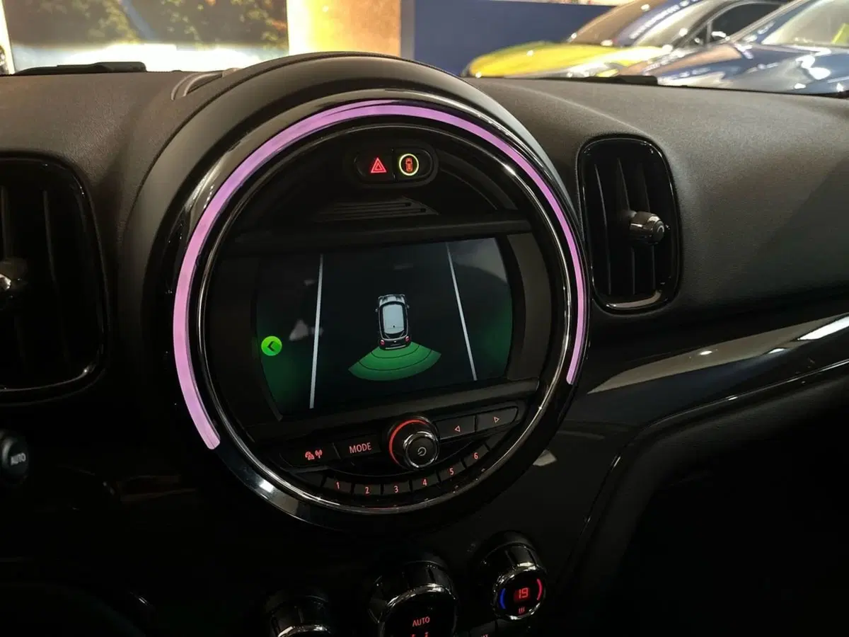 MINI Mini Countryman usata a Prato (16)