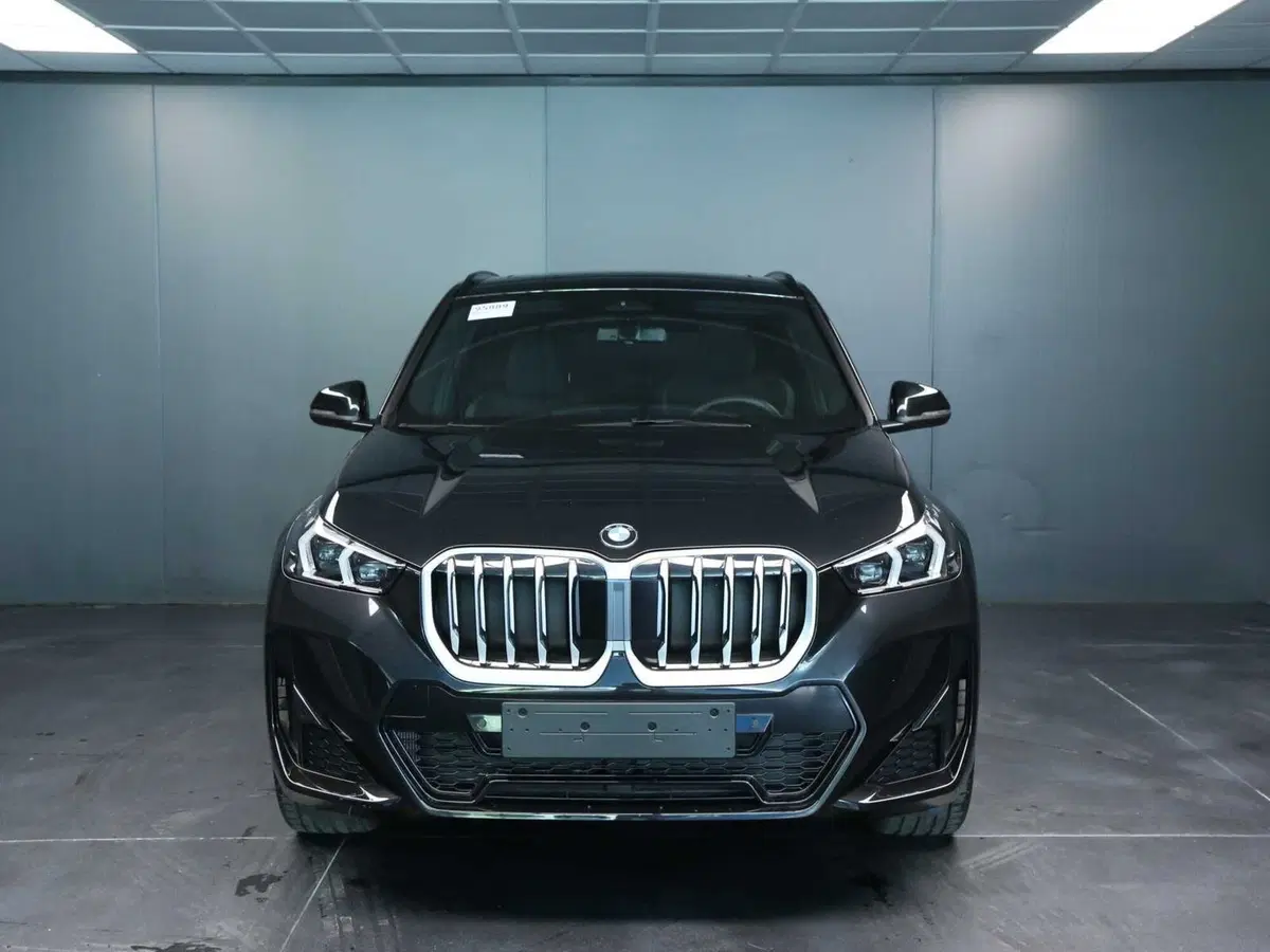 BMW X1 usata a Venezia (7)