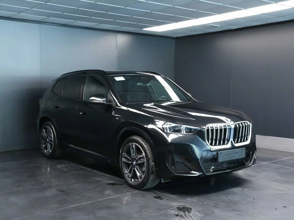 BMW X1 usata a Venezia (8)
