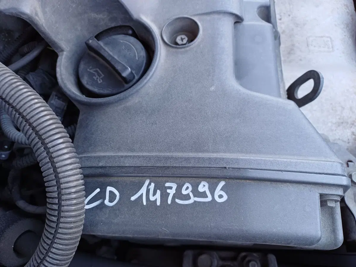 Kia Sportage usata a Modena (15)
