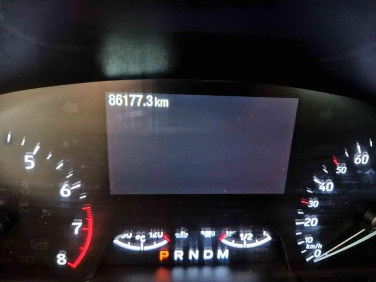 Ford Focus usata a Bologna (10)