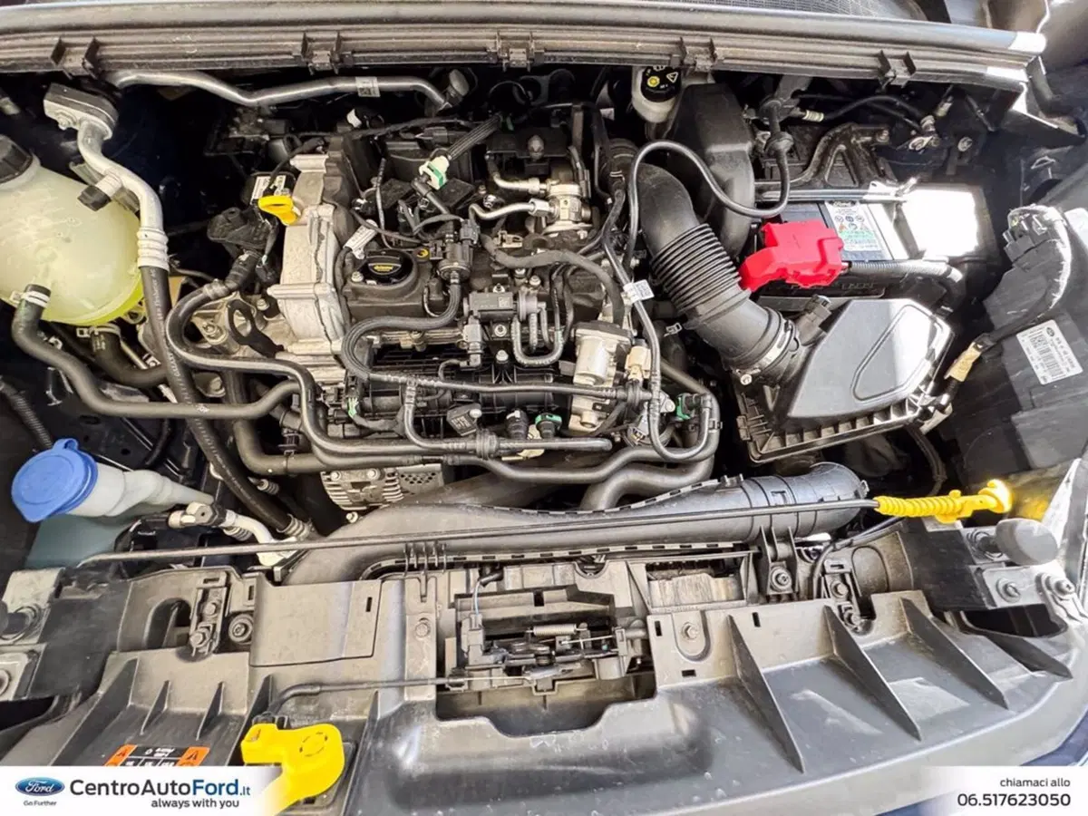 Ford Puma usata a Roma (12)