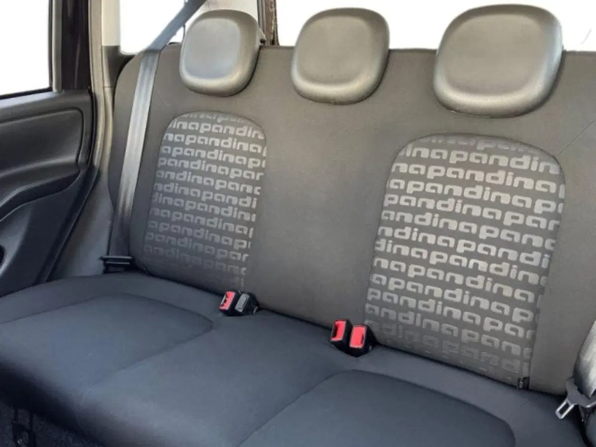 Fiat Panda usata a Ancona (14)