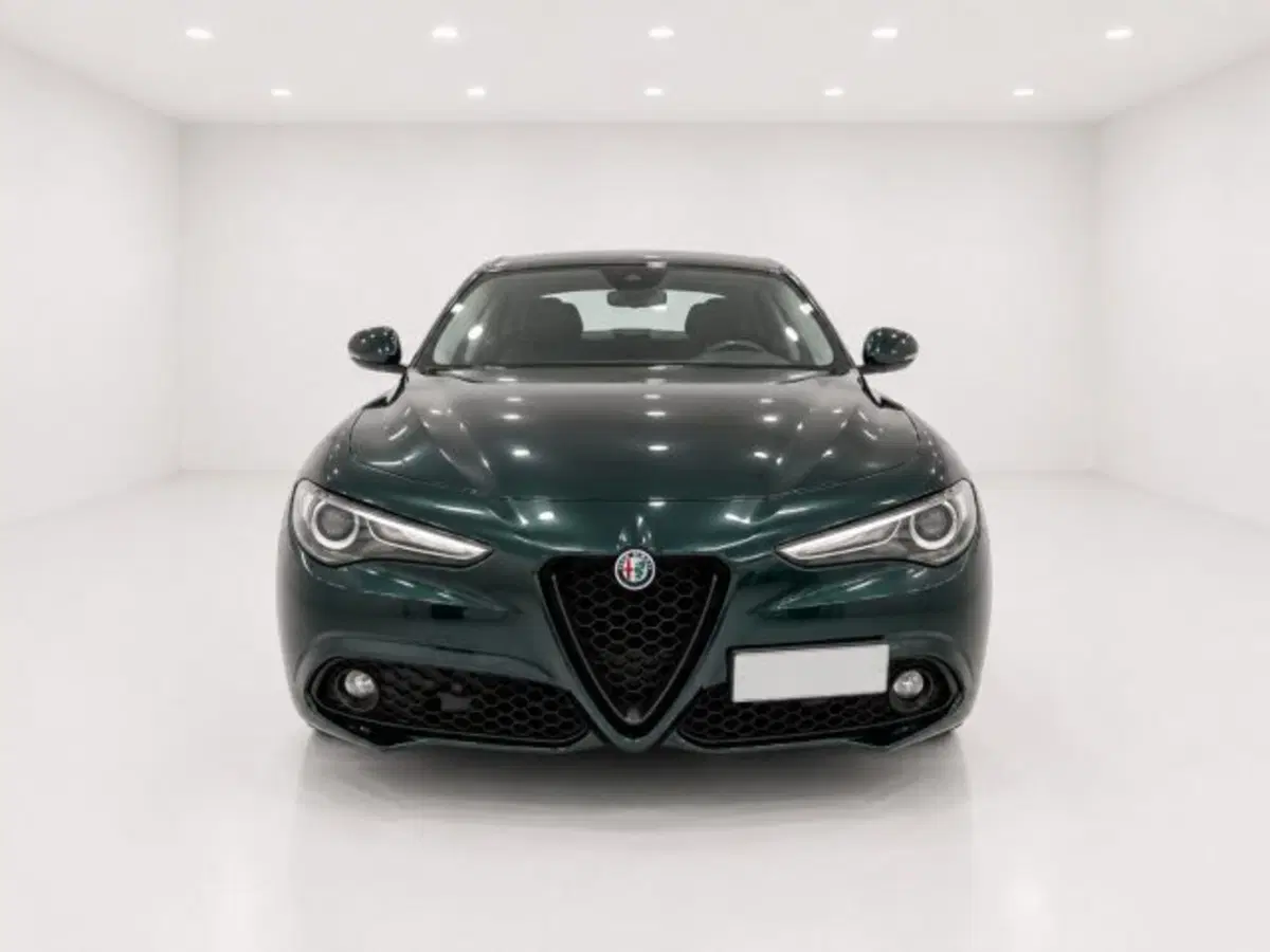 Alfa Romeo Stelvio usata a Firenze (2)