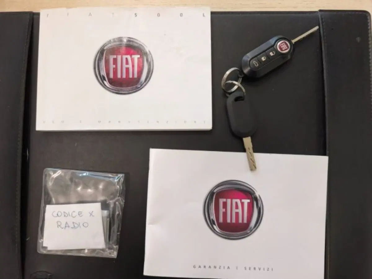 Fiat 500L usata a Firenze (13)