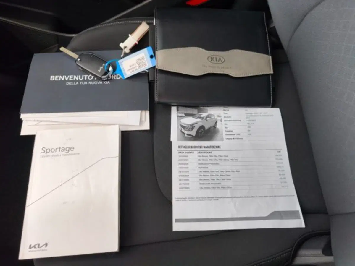 Kia Sportage usata a Firenze (14)