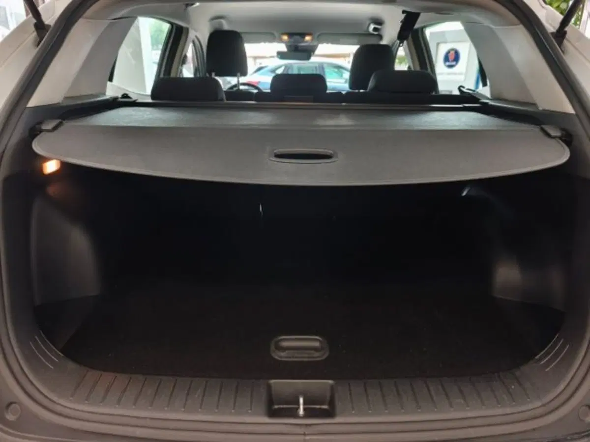 Kia Sportage usata a Firenze (19)