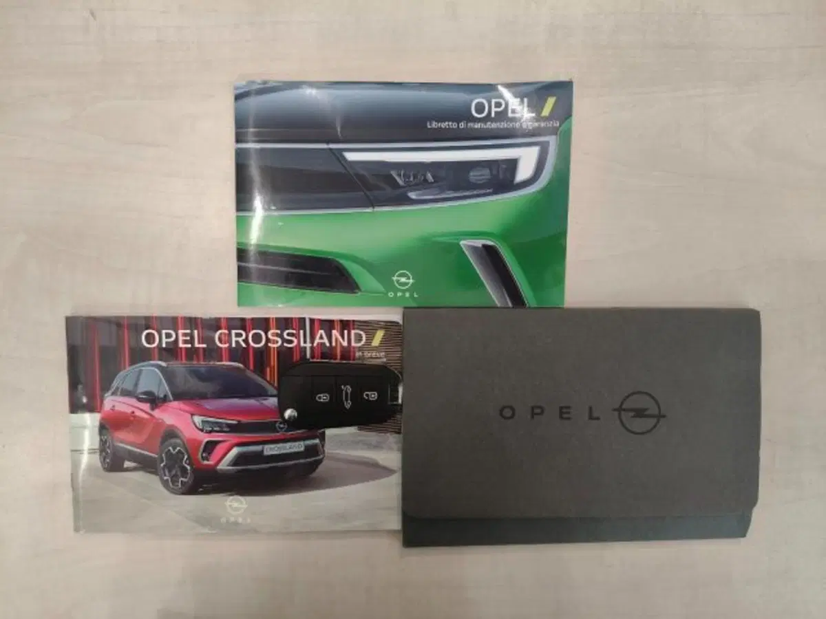Opel Crossland usata a Firenze (15)