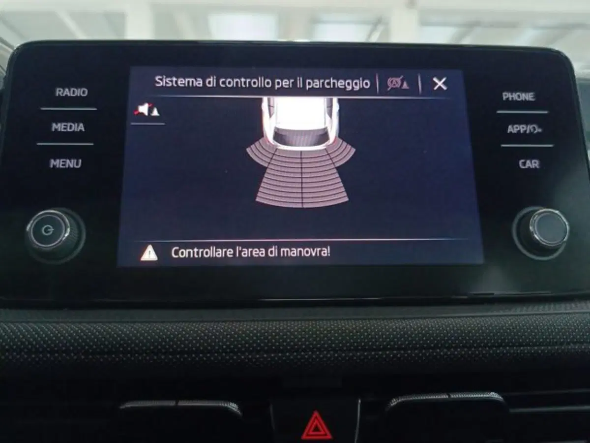 Skoda Fabia usata a Catania (17)
