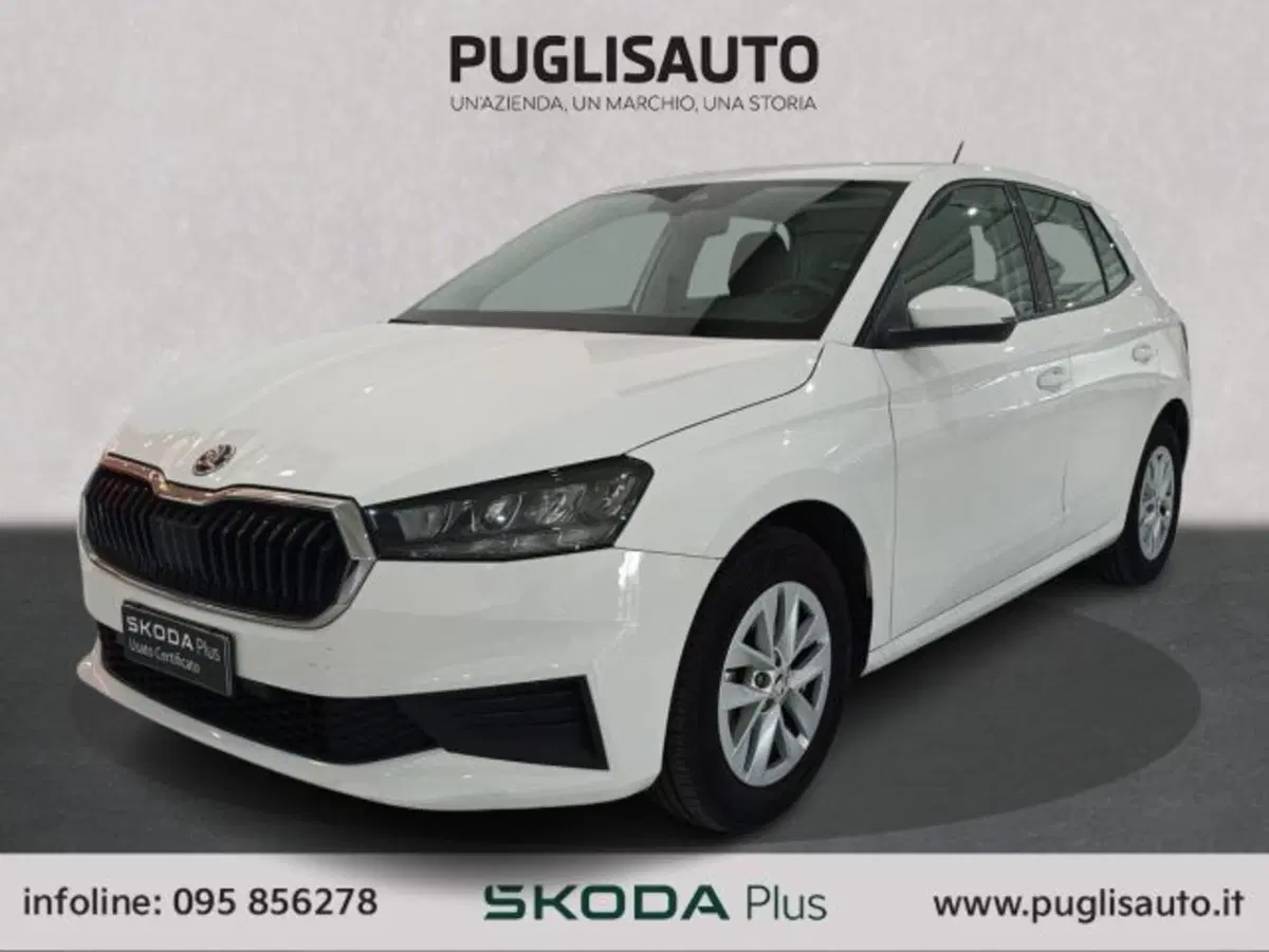Skoda Fabia usata a Catania (3)