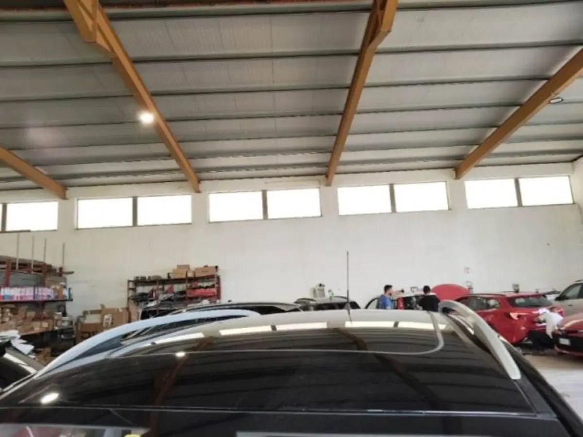 Mg ZS (2021-->) usata a Catania (14)