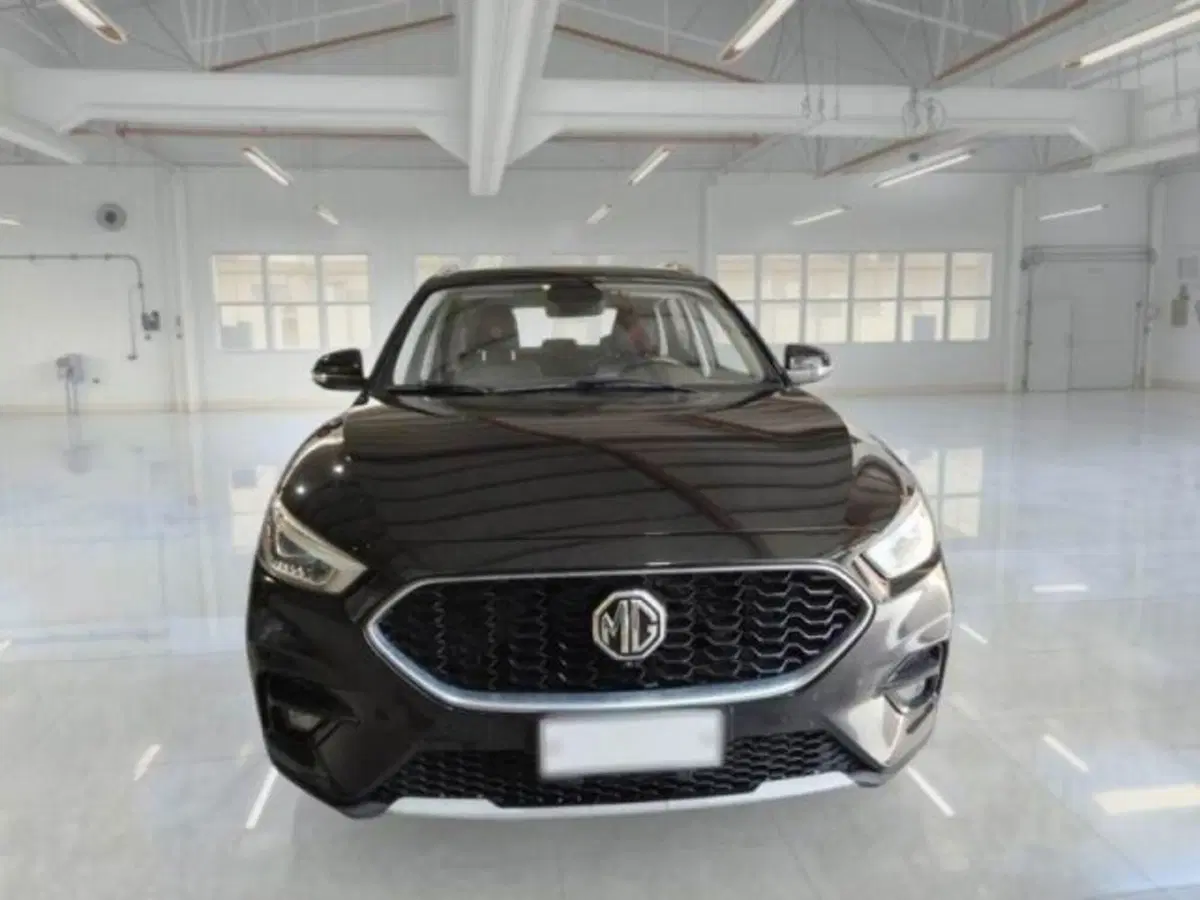 Mg ZS (2021-->) usata a Catania (3)