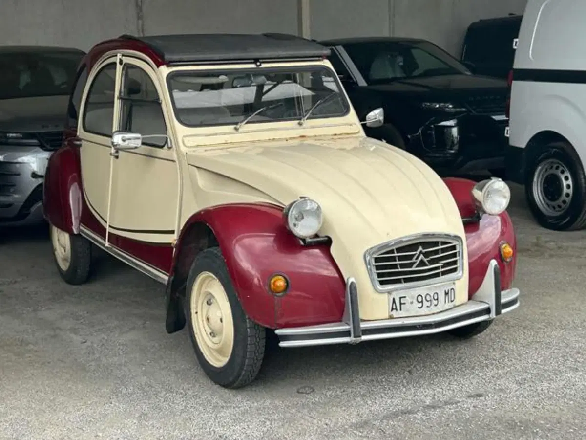 Citroen 2CV usata a Lucca (2)