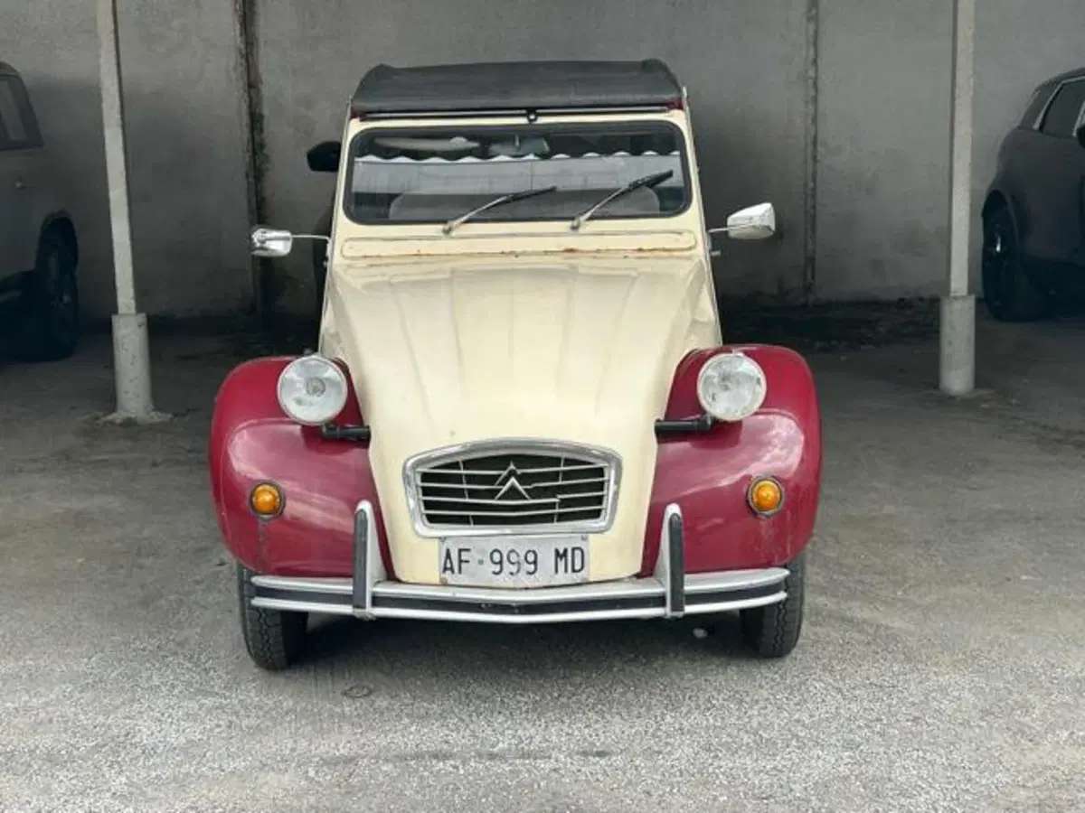 Citroen 2CV usata a Lucca (3)