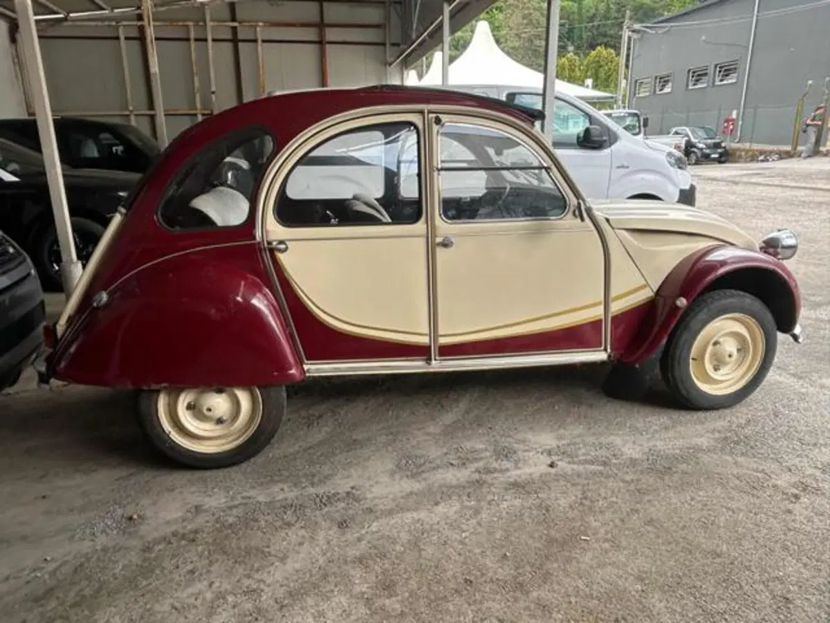 Citroen 2CV usata a Lucca (4)