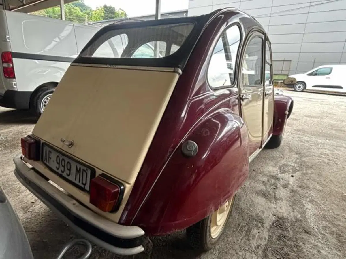 Citroen 2CV usata a Lucca (5)