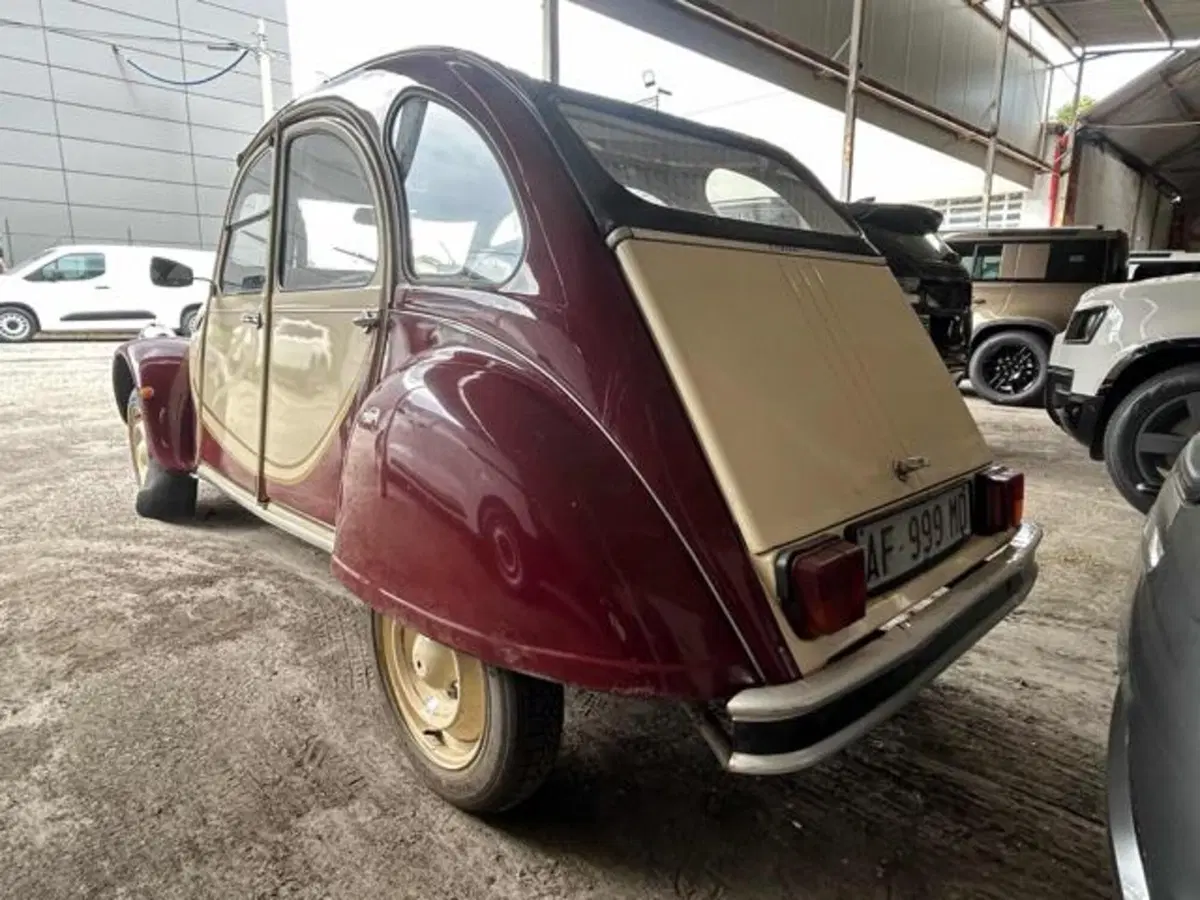 Citroen 2CV usata a Lucca (6)