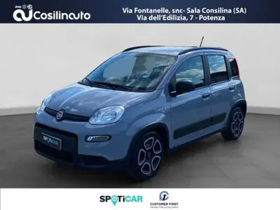 Fiat Panda 1.0 firefly hybrid s&amp;s 70cv del 2021 usata a Sala Consilina